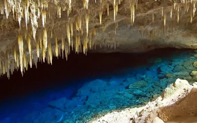 Bonito en Brasil: Descubre el Paraíso Escondido