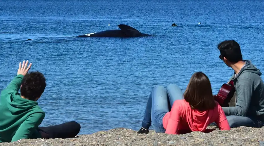 10 Destinos Clásicos en Argentina Puerto Madryn