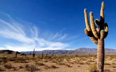 5 días para visitar Salta