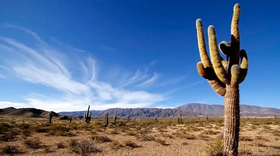 5 días para visitar Salta