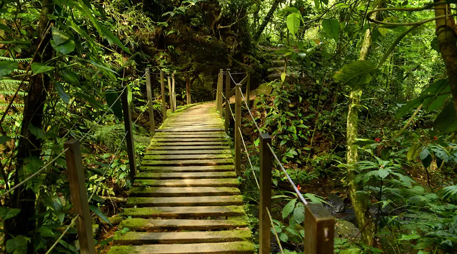 El fascinante mundo del ecoturismo