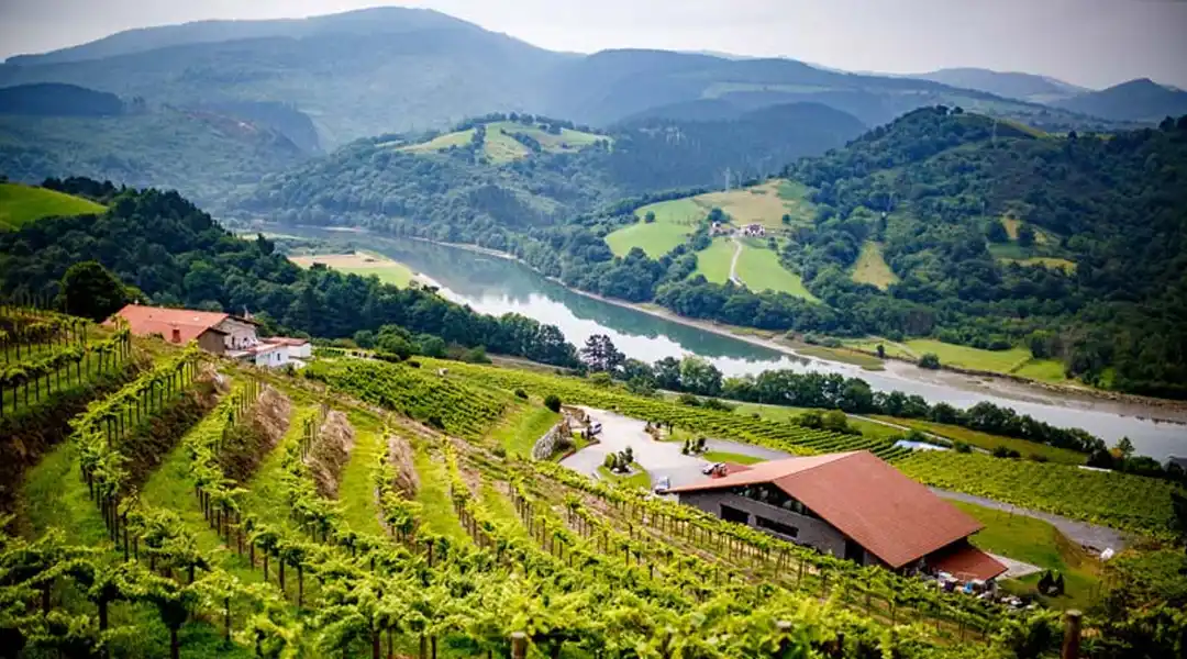 Txakoli en Guipuzcoa